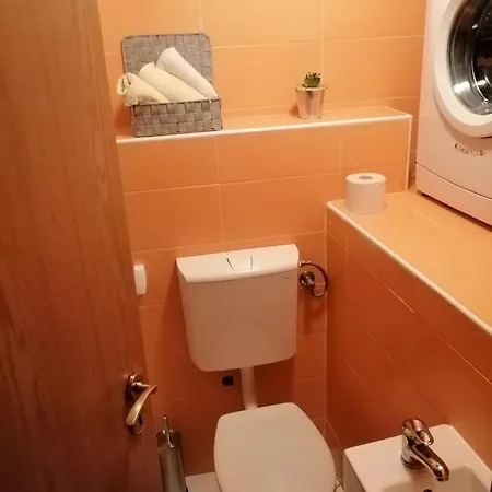Apartment Viva *