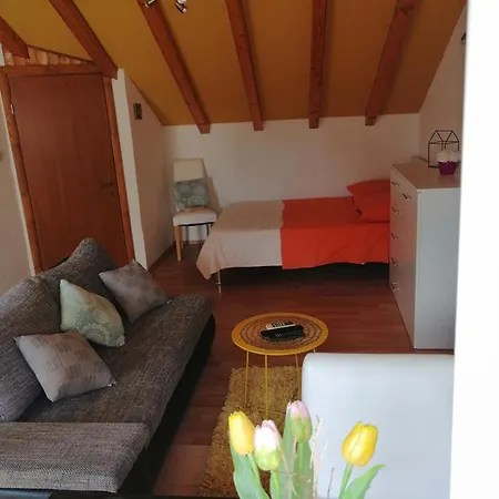 Viva Apartment *